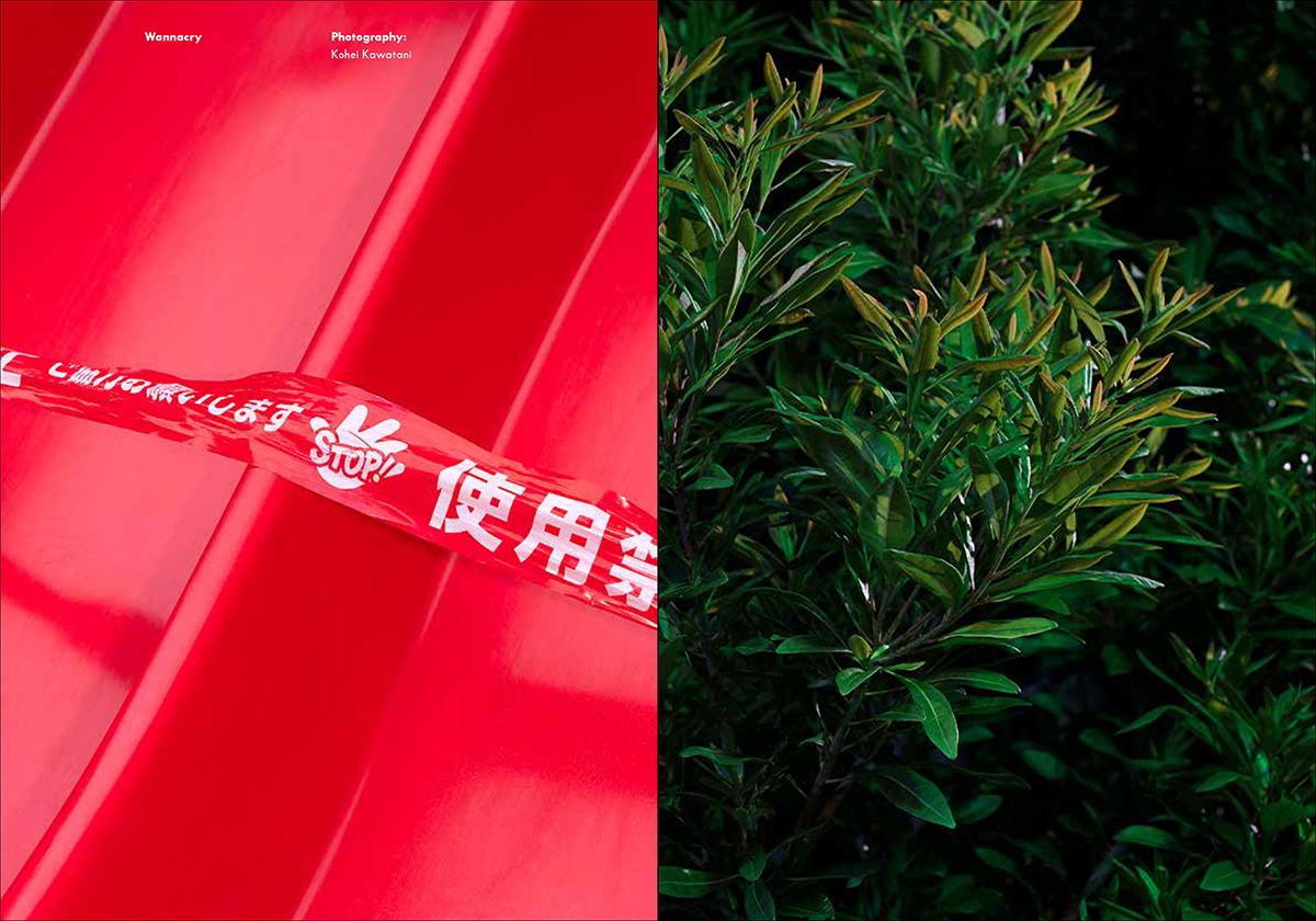 DAWN N°1.5 Survival Issue